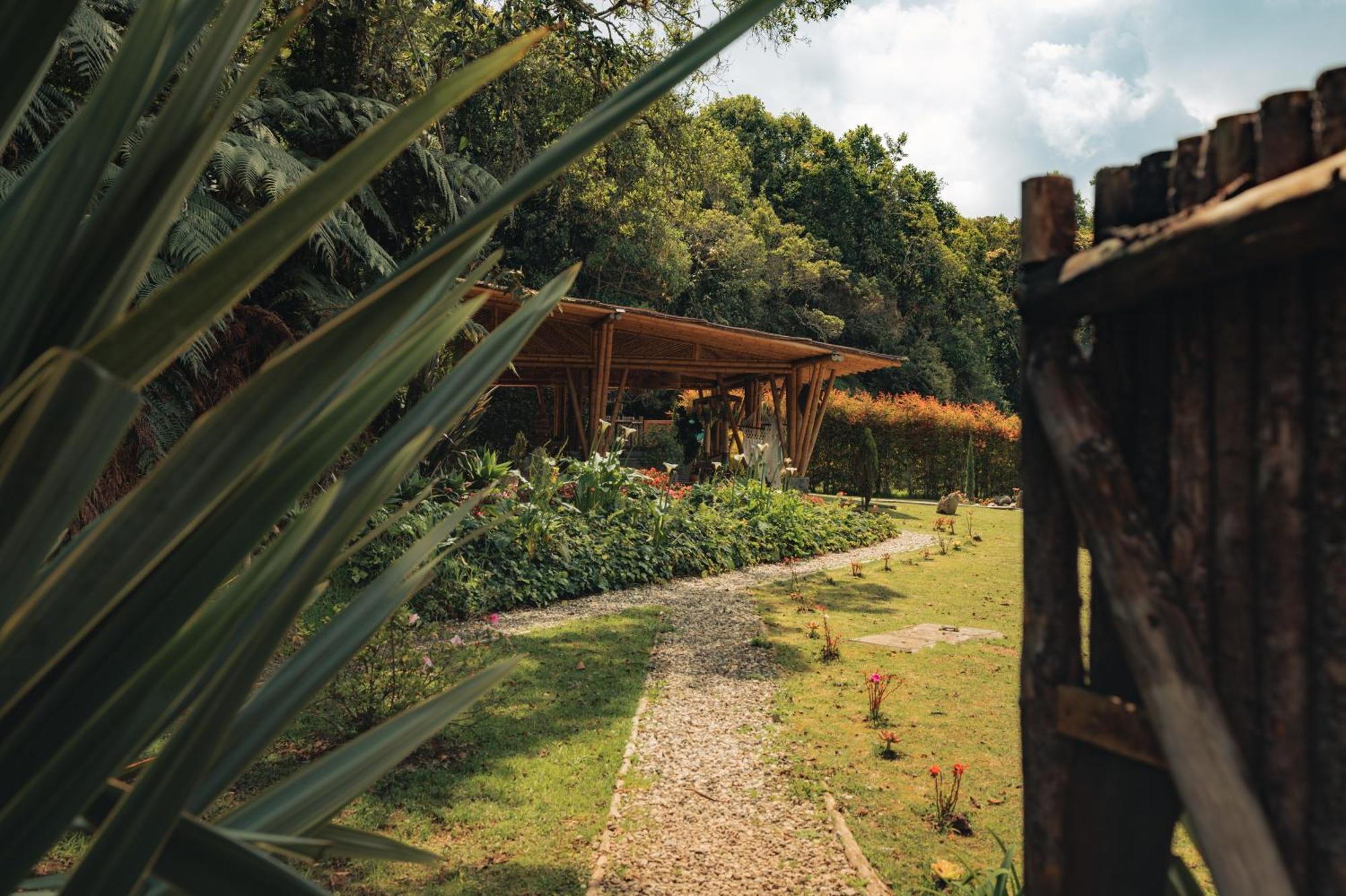 فندق Bubblesky Glamping 15 Min From Medellin ريونيغرو المظهر الخارجي الصورة