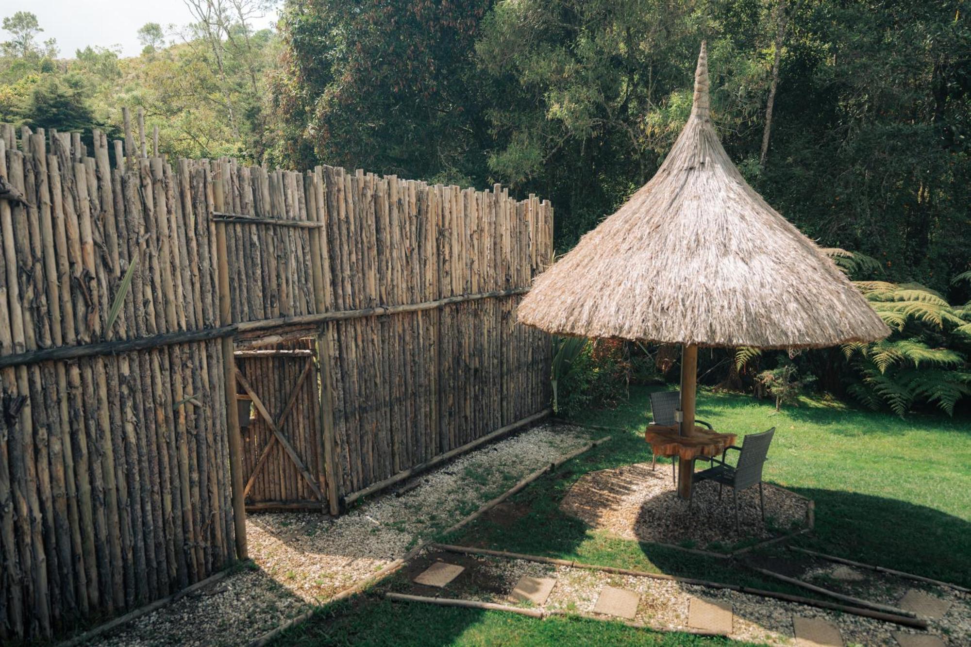 فندق Bubblesky Glamping 15 Min From Medellin ريونيغرو المظهر الخارجي الصورة
