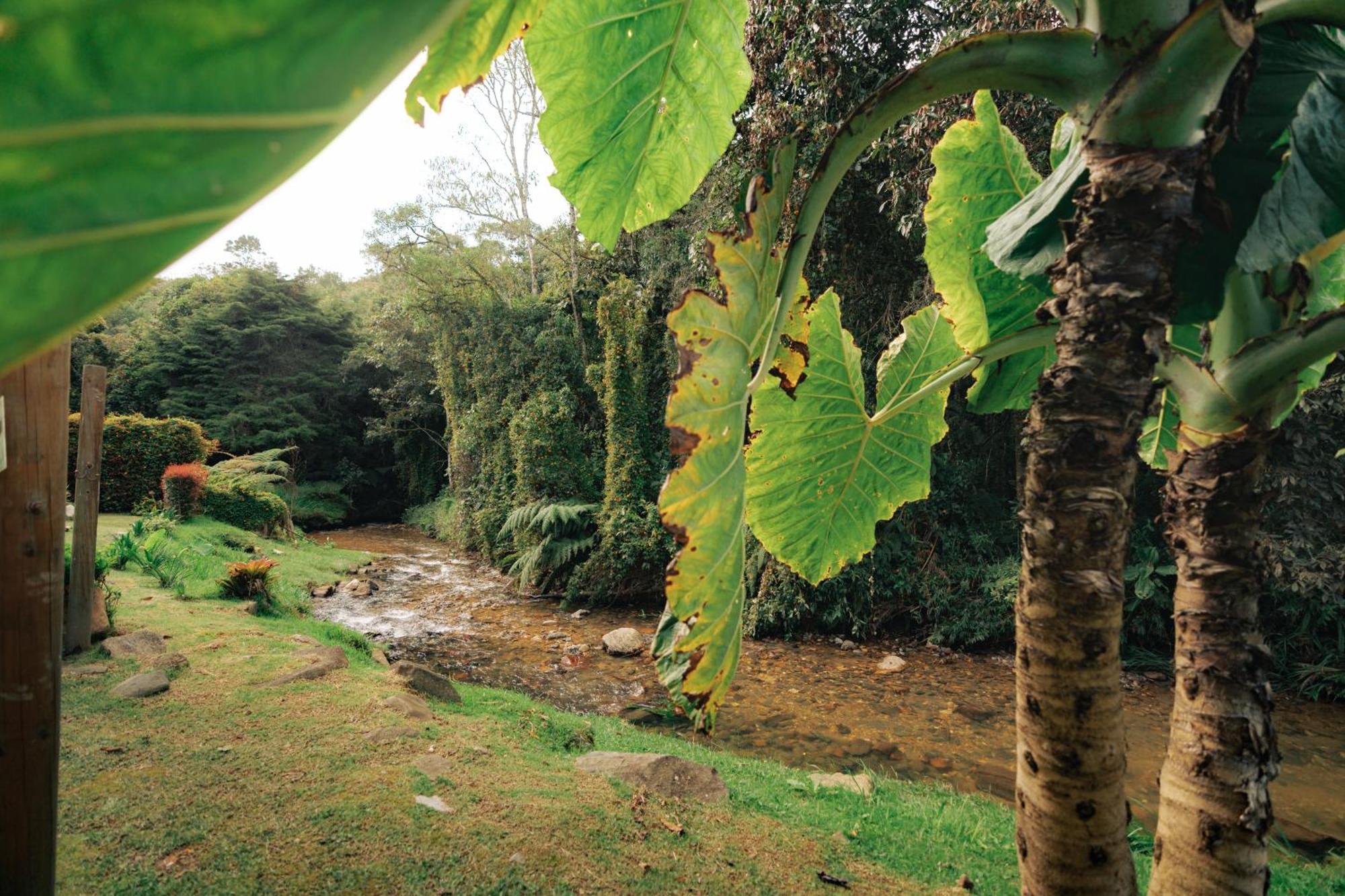فندق Bubblesky Glamping 15 Min From Medellin ريونيغرو المظهر الخارجي الصورة