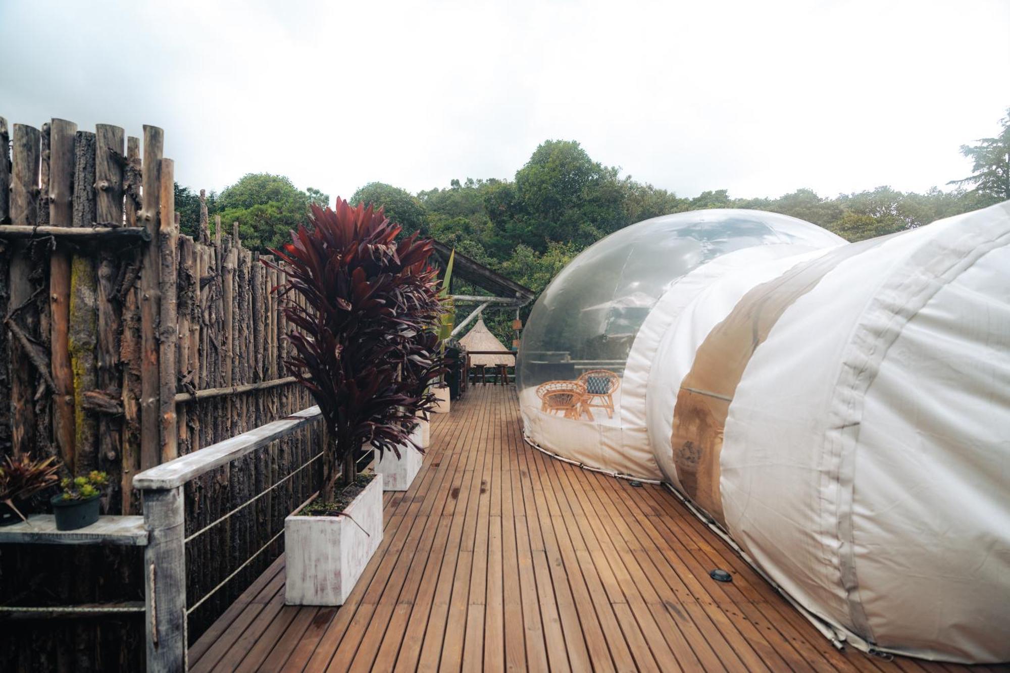 فندق Bubblesky Glamping 15 Min From Medellin ريونيغرو المظهر الخارجي الصورة