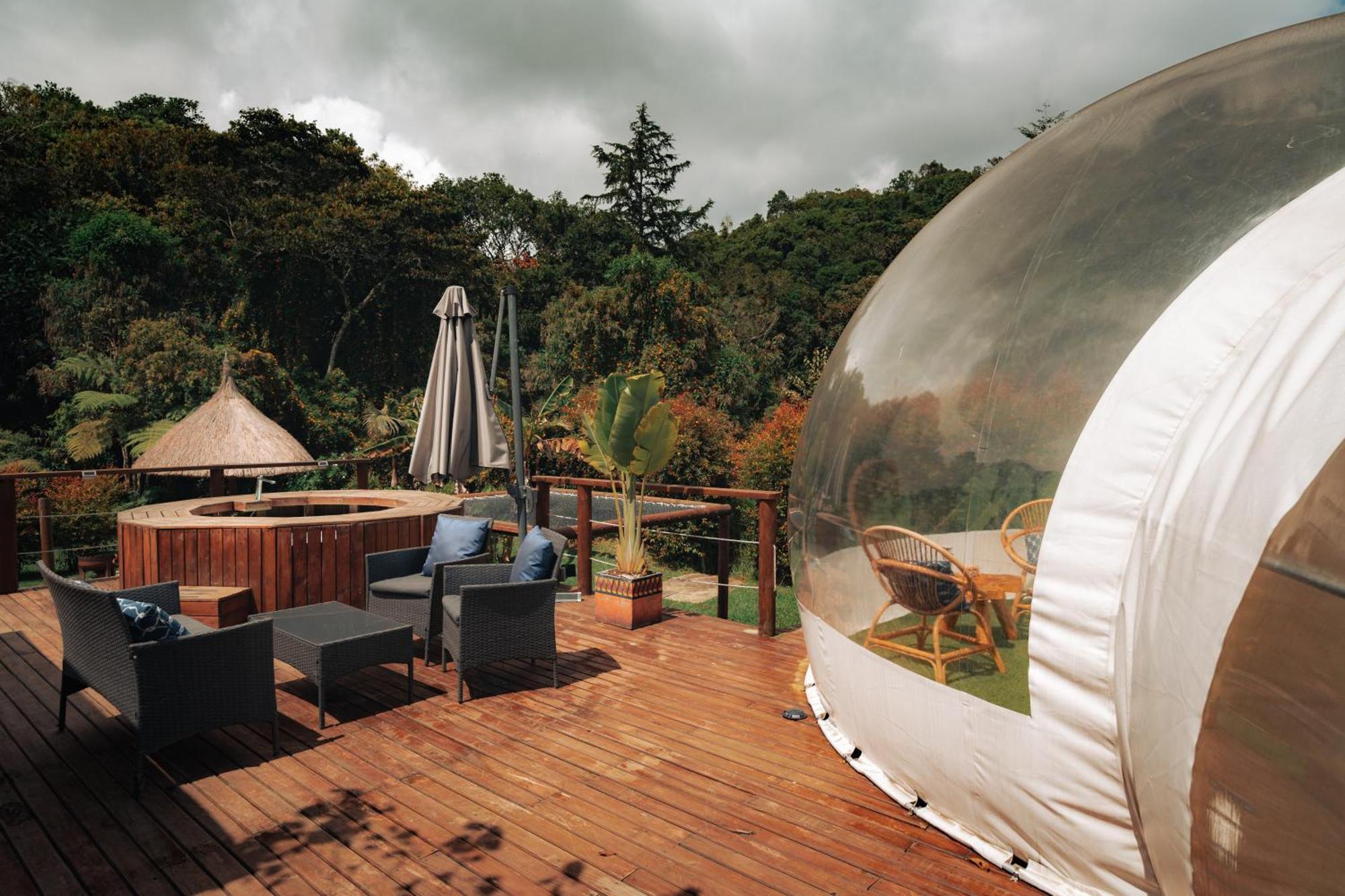 فندق Bubblesky Glamping 15 Min From Medellin ريونيغرو المظهر الخارجي الصورة